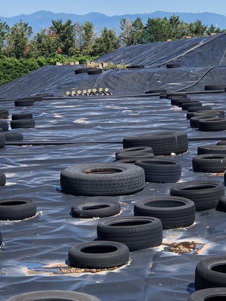 foto discarica 1  07_23